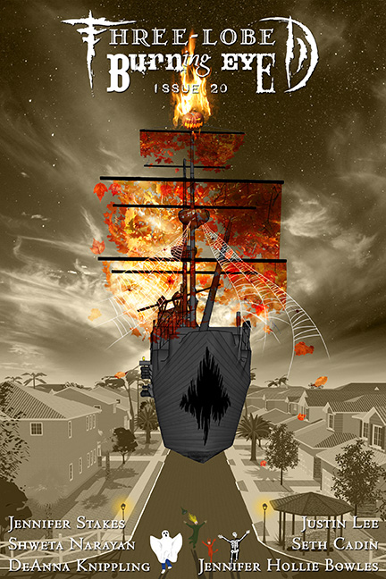 issue 20 cover
